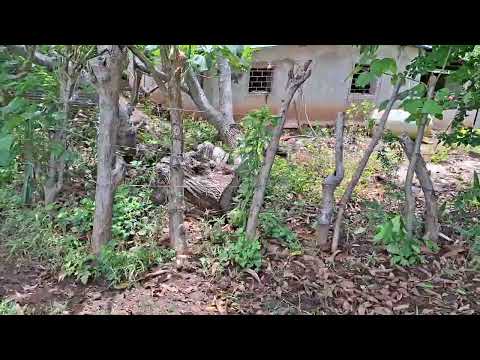 Desvío El Zunza, Acajutla, Sonsonate. 1 tarea, 400 m². Mas información al 7639 4721. 20 mil fijo