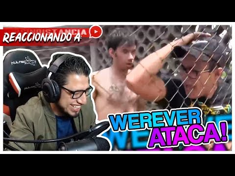 Fedelobo Reacciona a El Yunque #6