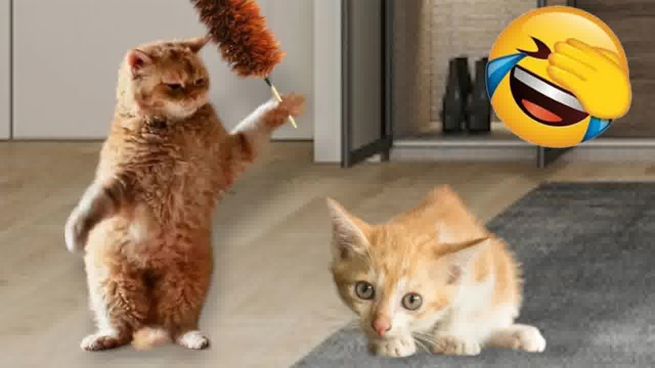 🐕 New Funny Cats and Dogs Videos 🤣❤️ Funny Videos Compilation 😂