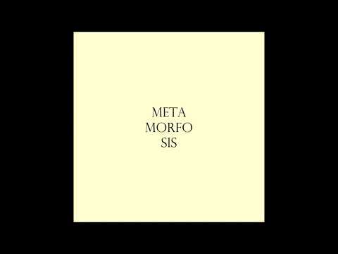 Metamorfosis "Ocyrhoe"