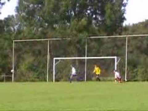 Samenvatting Hertha 3 - VIOD 3