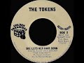 The Tokens - She Lets Her Hair Down (1969)