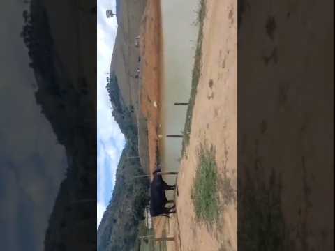 REGIÃO DA MATA| Valentim - BoaNova-BA..#bahia#fazenda#vidanaroça#paisagemnatural#fazenda#vidanocampo