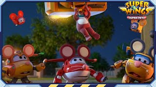 [SUPERWINGS5 HL] Perez the Mouse and more | Superwings Superpets | Highlight S5 EP28~30
