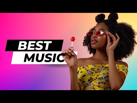 Media Fan - Level Up