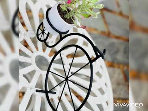 BB garden new flowers