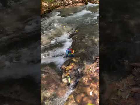 CACHOEIRA DE MIRAVÂNIA #TVTUDOOFC