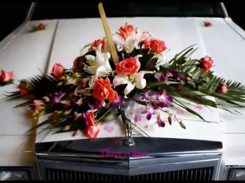 Mary MacGregor - The Wedding Song (There is Love) (1979)