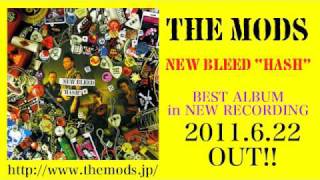 THE MODS「COUNTER ACTION」試聴