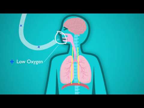 Intermittent Hypoxia July 6
