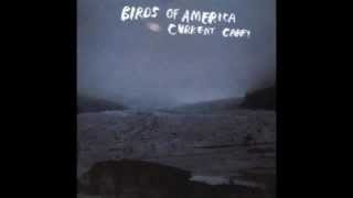 Birds of America - The Eyes of Our Youth Are Evil
