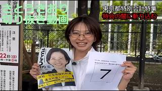 特会と戦う　さとうさおり　みんなで応援しよう！