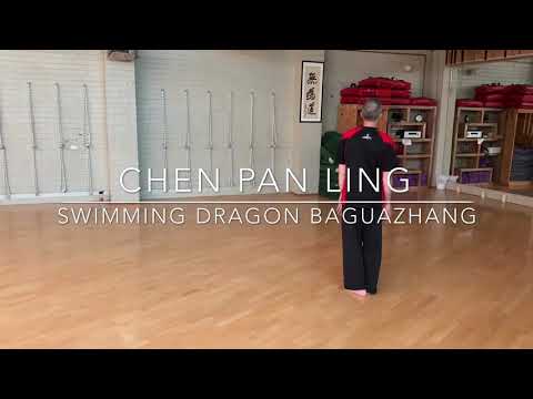 Chen Pan Ling - Baguazhang