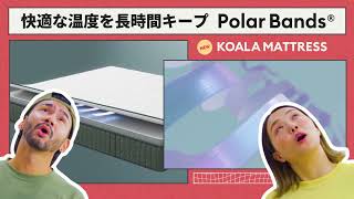 260915 koala New Mattress 15yoko11kan 1015