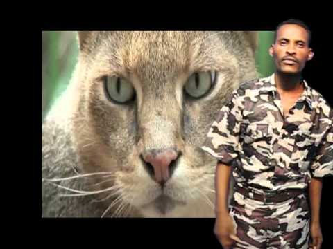 AMAAN  /AAGAA/ GOOBANAA 2012