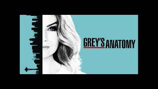 Wolf Parade - You're Dreaming    GREY'S ANATOMY [S14-E8]  OST