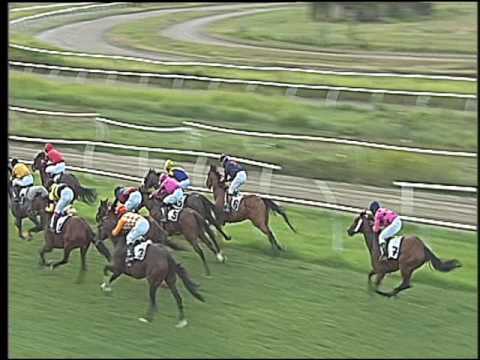 Galoppo 16/07/2016 - 1° corsa