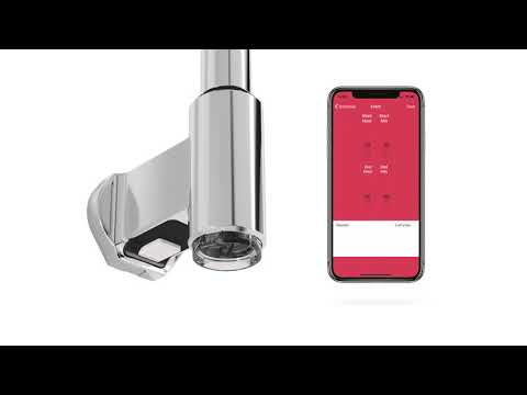 Elpatron Pax Momento II