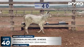 LOTE 40