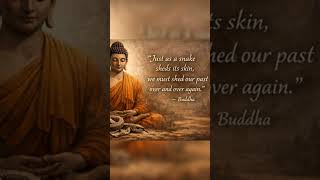Buddha Quotes On Life | #quotes #quoteoftheday #buddhaquotes #lifelessons