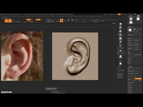 Introduction to Zbrush  08  - Sculpting an Ear 02