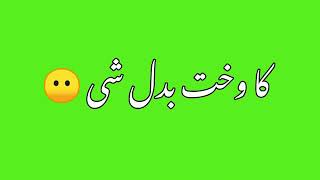 Green Screen pashto poetry  Pashto Green Screen Po