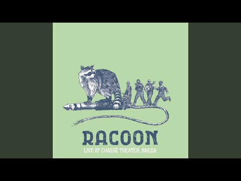 Walk Away - Racoon