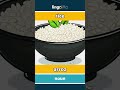 rice - arroz video thumbnail