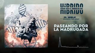 Wølf Lyrics English Translation