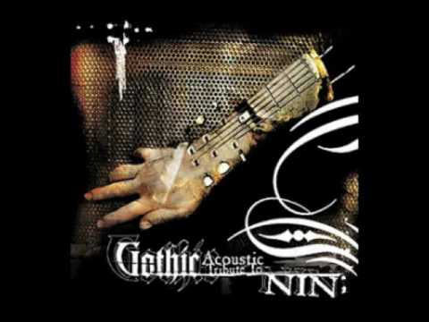 Gothacoustic Ensemble - We're In This Together (tribute to NIN)