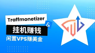 Traffmonetizer - 闲置VPS赚钱 | 挂机赚美金 | 网赚项目