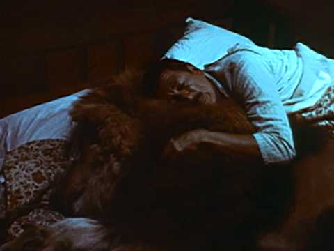 afbeelding Clarence, the Cross-Eyed Lion