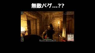 【Dark and Darker】無敵バグなのか...？？