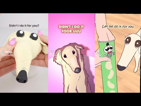 Didn’t I Do It For You TikTok Meme Compilation