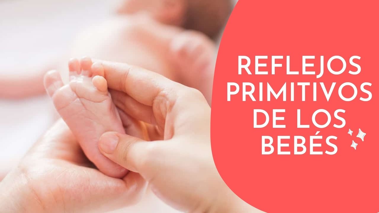 Luis Gustavo Orozco Alatorre-6