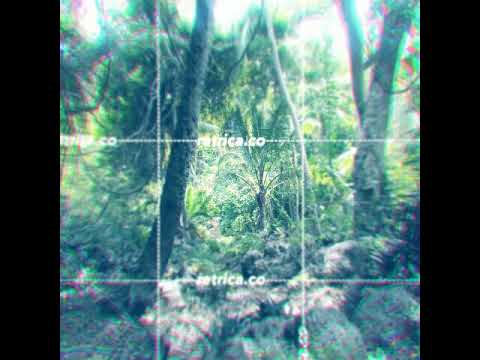 DJ NALASH X Je vais déchiré