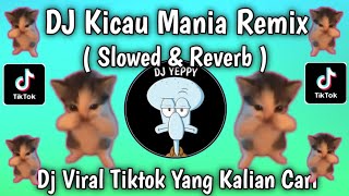 Download lagu DJ KICAU MANIA REMIX SLOW VIRAL TIKTOK THE LATEST THAT YOU'RE LOOKING FOR mp3