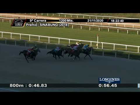 201121 c09 - AMARACHELLA - MAROÑAS