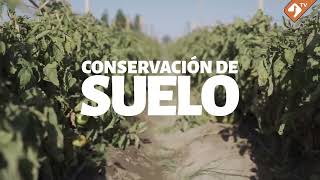 Venta de tierras INTA San Juan: el origen provincial es el blindaje