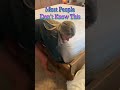 Most People Don T Know How To Make Their Bed
