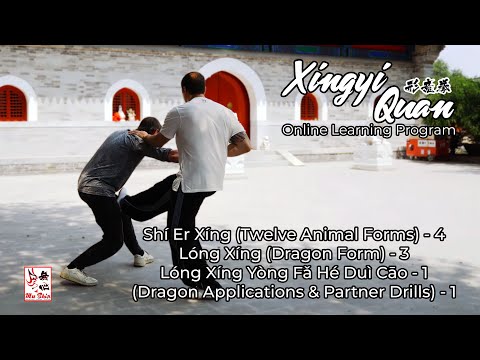 Xingyi Quan Glimpses #03 - Hua Jin Online Learning Program