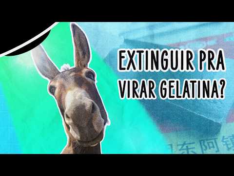 CHINA ESTÁ EXTINGUINDO JUMENTOS PARA FAZER GELATINA | ABDUÇÃO