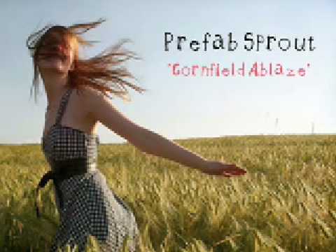 Cornfield Ablaze video