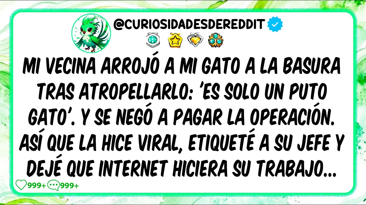 Mi vecina arrojó a mi GATO a la BASURA tras ATROPELLARLO: 'Es SOLO un puto GATO'. Y se negó a PAGAR