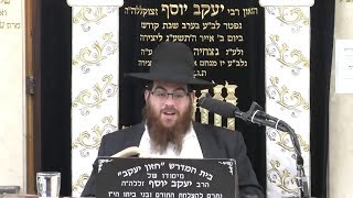 הרב עמרם יוסף - חליבת בהמה בשבת