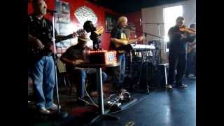 Long Tailed Cat (cover 3-10-12)