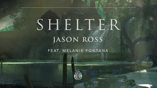 Shelter Music Video