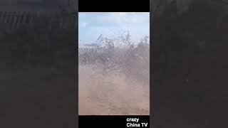 （そして誰も居なくなった）こういうやつらが台風の日に畑の様子見に行って、大体帰って来なくなるパターン⑱