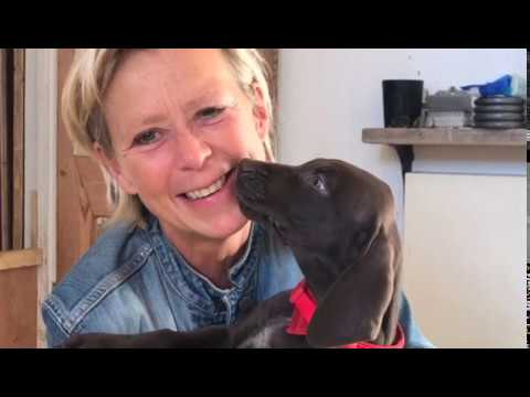 A hymn from the Rig Veda for healing