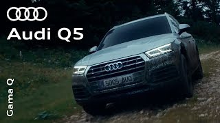 Gama Q | Audi Q5 Trailer
